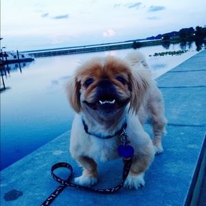 Meet your Posher, Derek